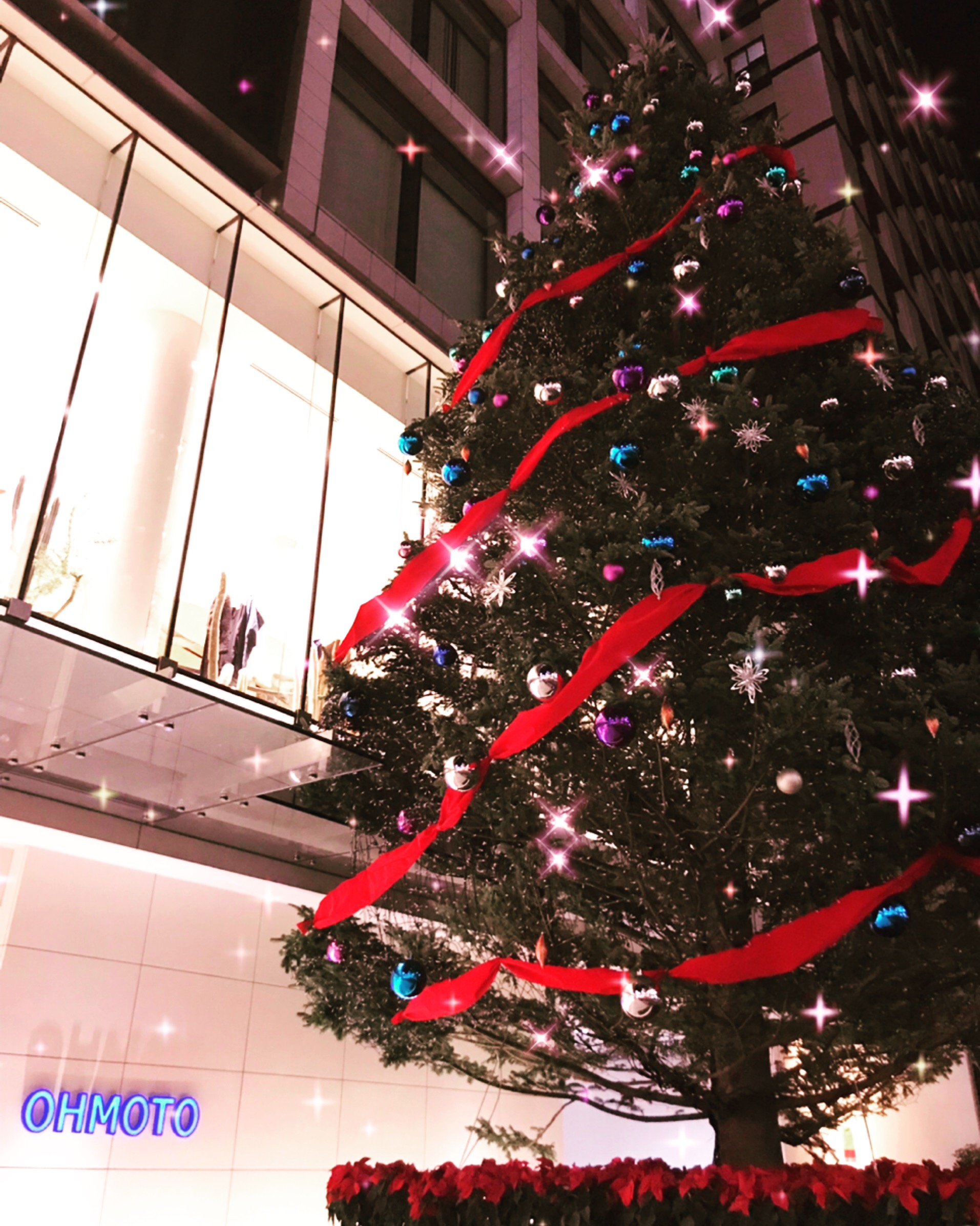 街角にはクリスマスツリー♪ | MIYAKO Official Web Site